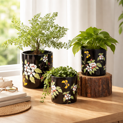 Three hand-painted black ceramic floral planters with green indoor plants arranged on a wooden tabletop in natural light.