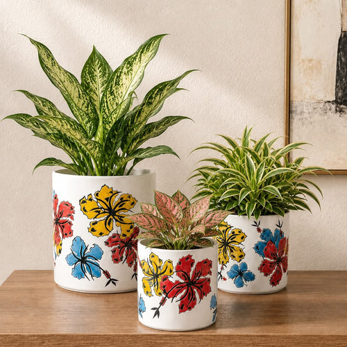 Hand-painted floral ceramic planter set of 3 with live indoor plants displayed on a wooden console table, featuring premium white ceramic decorative planters for modern home décor.