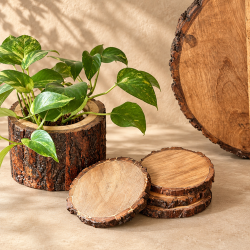 Handcrafted mango wood coasters styled beside a wooden planter, showcasing their natural bark edge and rustic charm.