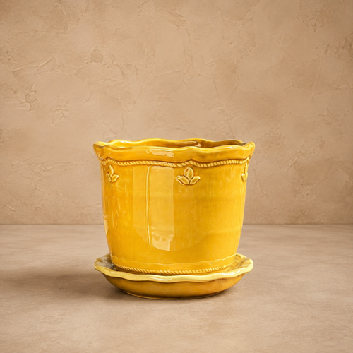 Mustard Glow Ceramic Planter With Plate