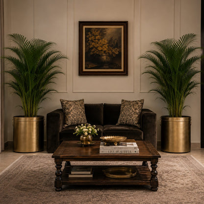 Large premium brass floor planters with palm plants decorating an elegant luxury living room.