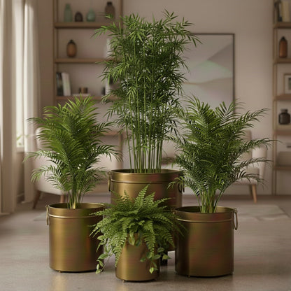 Premium brass indoor planters in vintage gold metal finish for luxury home décor