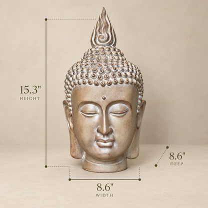 Premium resin Buddha head sculpture with dimensions showing 15.3-inch height, 8.6-inch width, and 8.6-inch depth for luxury home décor.