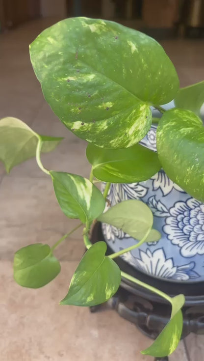 Royal Blue Floral Porcelain Vase