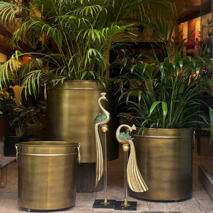 Round brass indoor planters set in premium gold metal for luxury home decor