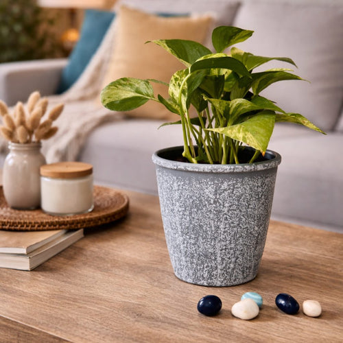 Rustic Grey Planter – Pair it up with our Decorative Owl set of 2 for a dramatic look | INARA