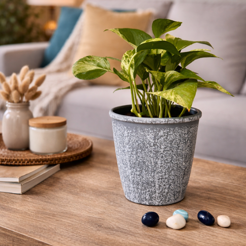 Rustic Grey Planter – Pair it up with our Decorative Owl set of 2 for a dramatic look | INARA
