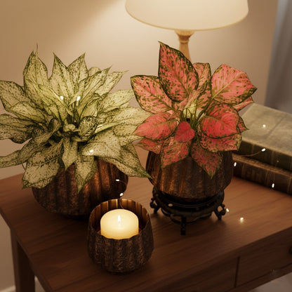 Rustic Tabletop Metal Planters - Set Of 3 – alternate angle | INARA