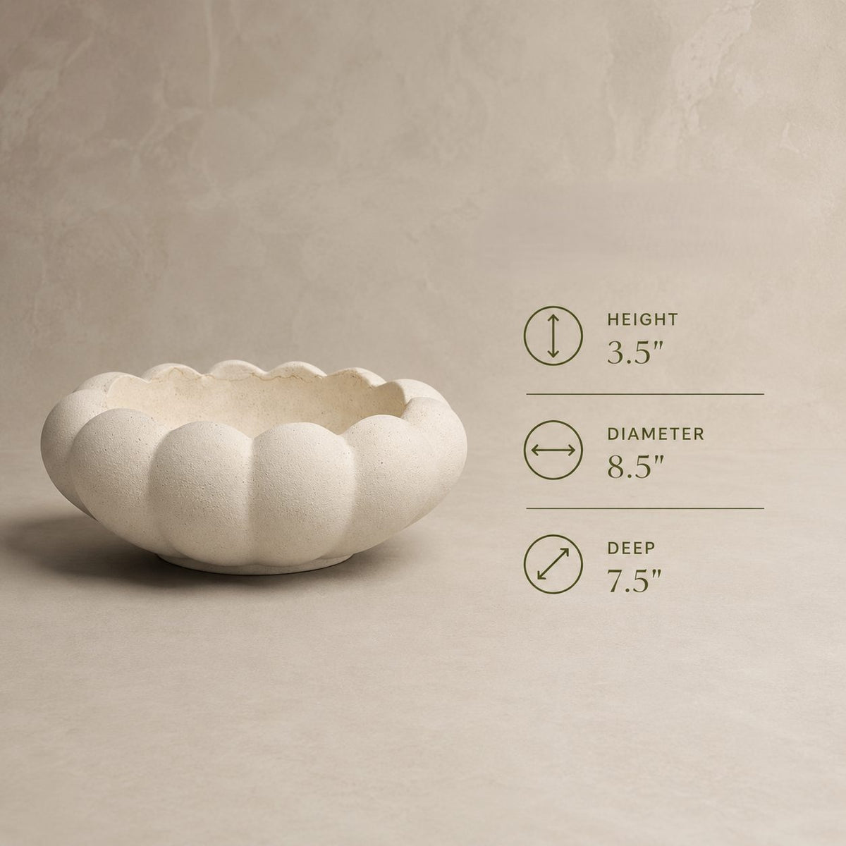 Dimensions infographic of the white scalloped ceramic decorative bowl showing height, diameter, and depth measurements.