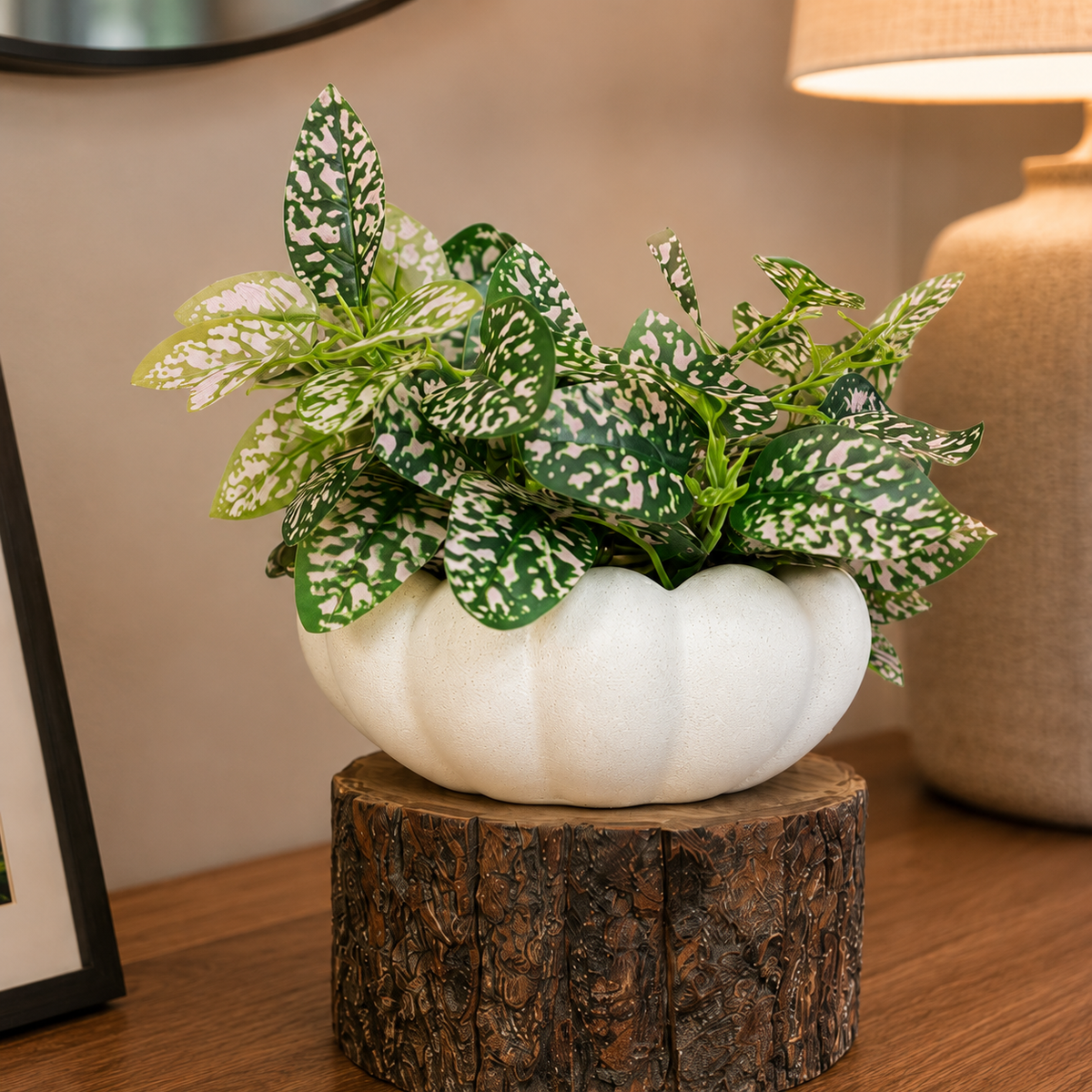 Close-up of a white scallop ceramic planter with pink-speckled hypoestes leaves placed on a rustic wood pedestal on a modern wooden console table.