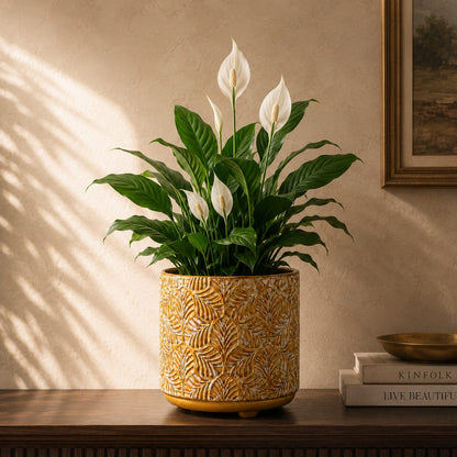 Mustard yellow embossed ceramic planter with leaf texture holding a Peace Lily, styled on a wooden console in a luxury living room.