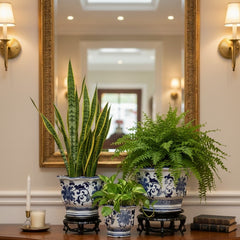 Blue And White Hexagonal Ceramic Planter