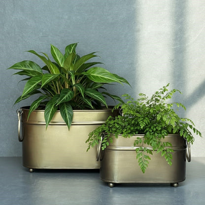 Handmade vintage brass rectangular metal planters styled with indoor plants, premium indoor planters for living room décor.