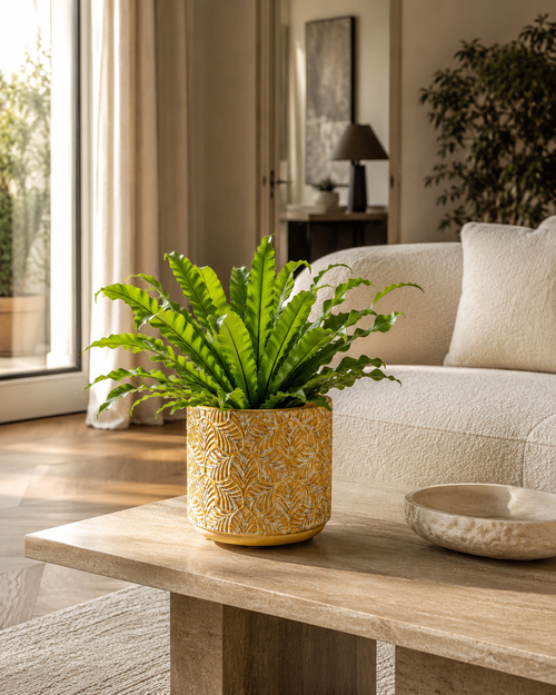 Textured Leaf Ceramic Footed Planter