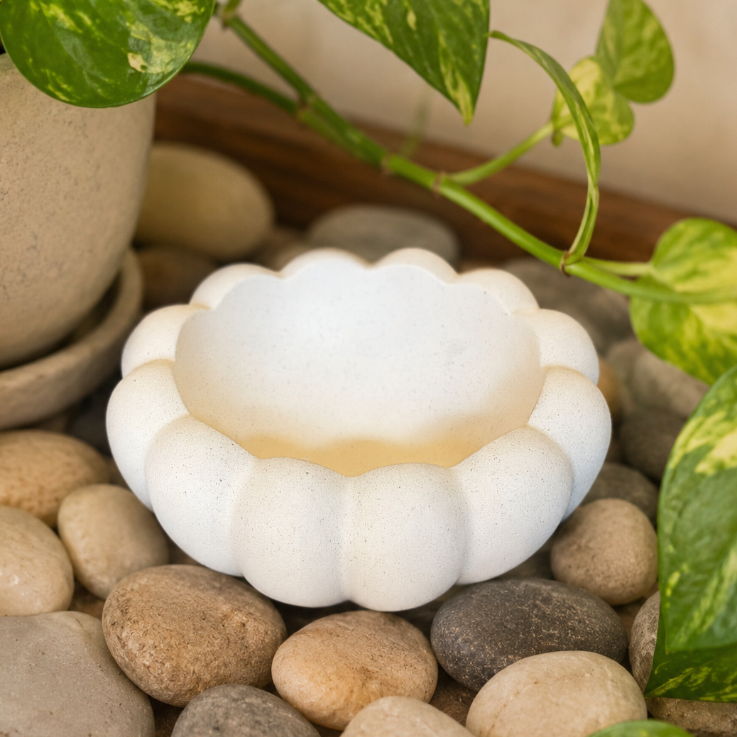 White scalloped ceramic decorative bowl styled with natural pebbles and trailing money plant leaves in a serene tabletop lifestyle setting.