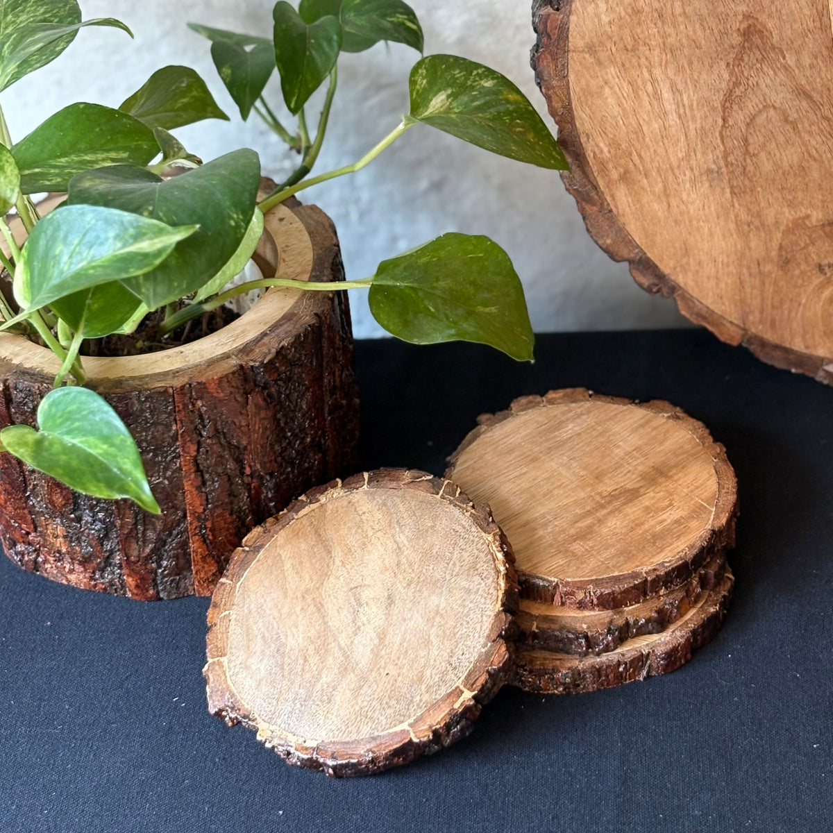 Wooden Slice Coasters - Set Of 4 – alternate angle | INARA