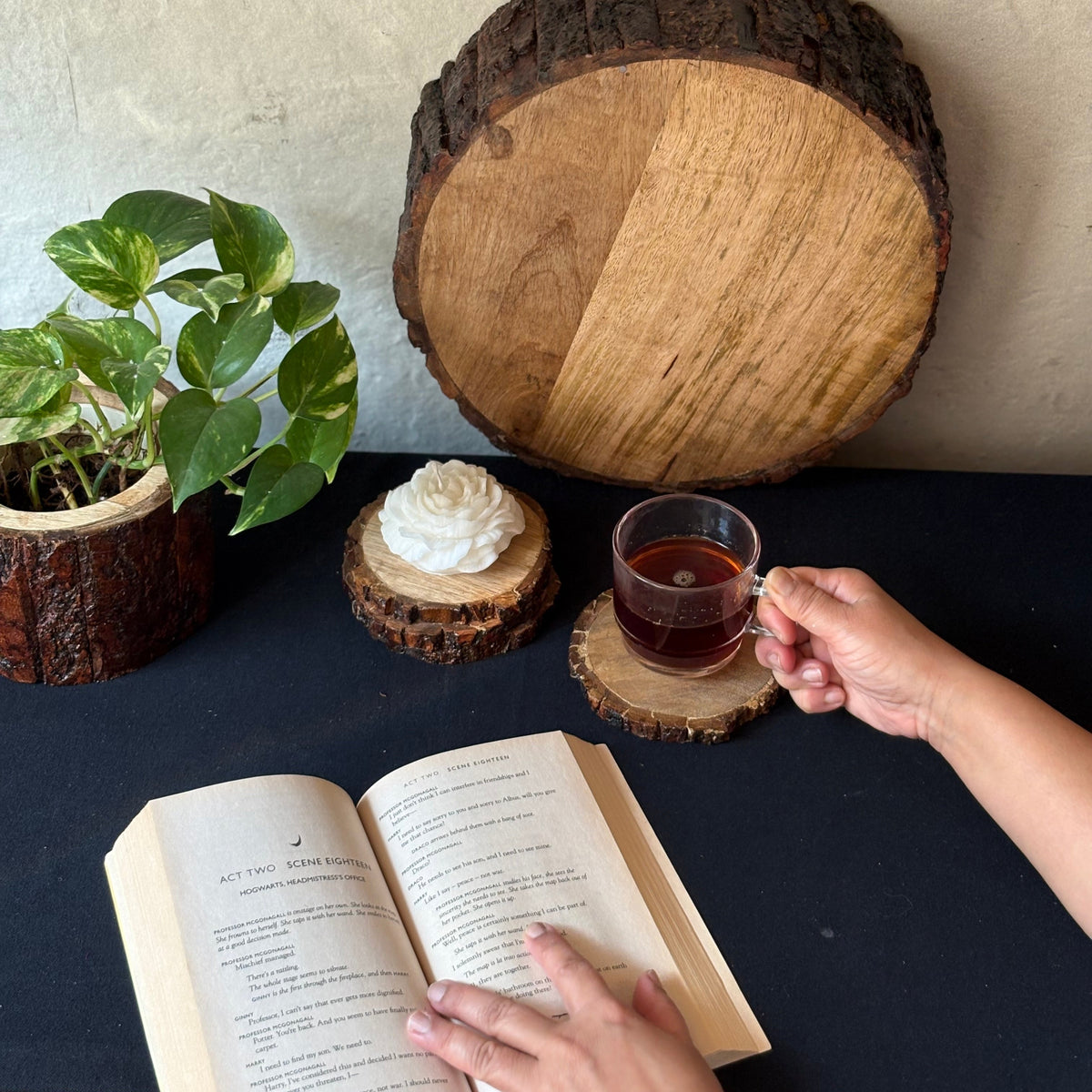 Wooden Slice Coasters - Set Of 4 – size and scale reference | INARA