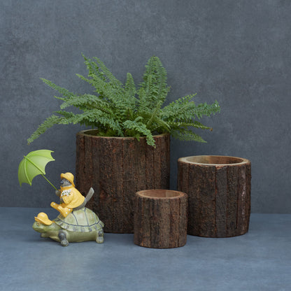 Wooden Bark Planter/ Base