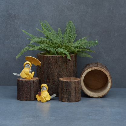 Wooden Bark Planter/ Base