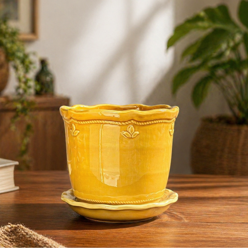 Mustard Glow Ceramic Planter With Plate