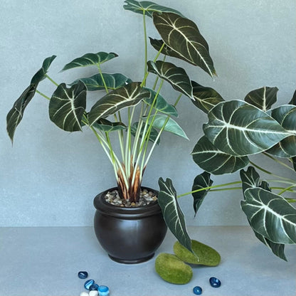 Artificial Alocasia Hybrid plant