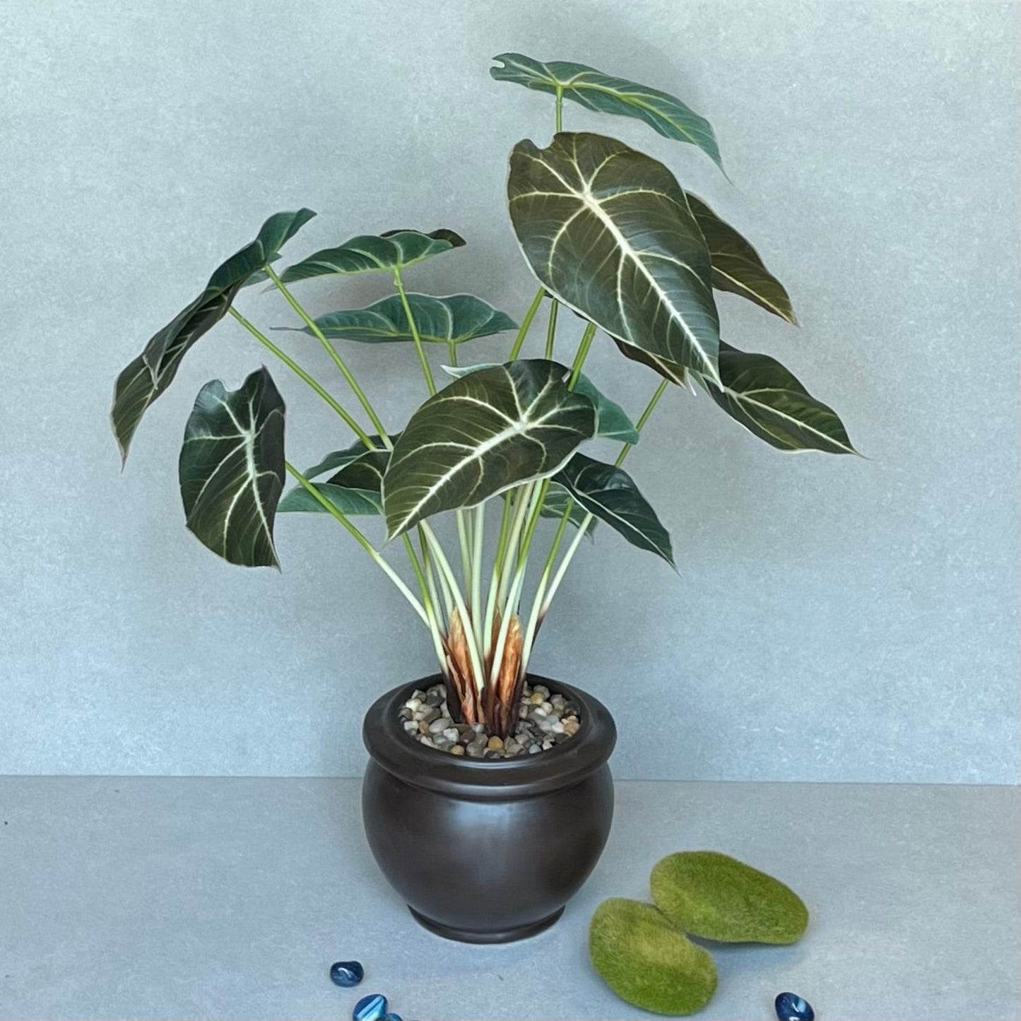 Artificial Alocasia Hybrid plant