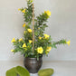 Artificial Morning Glory Pot