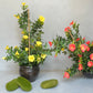 Artificial Morning Glory Pot