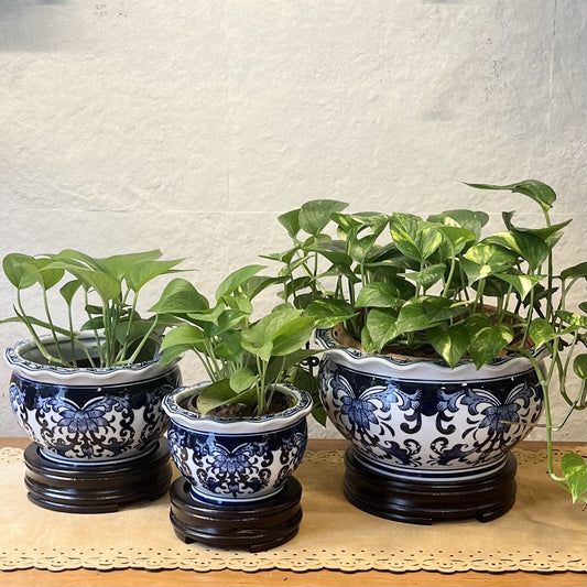  INARA HOME DECOR