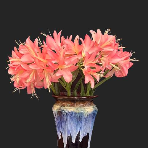  INARA HOME DECOR