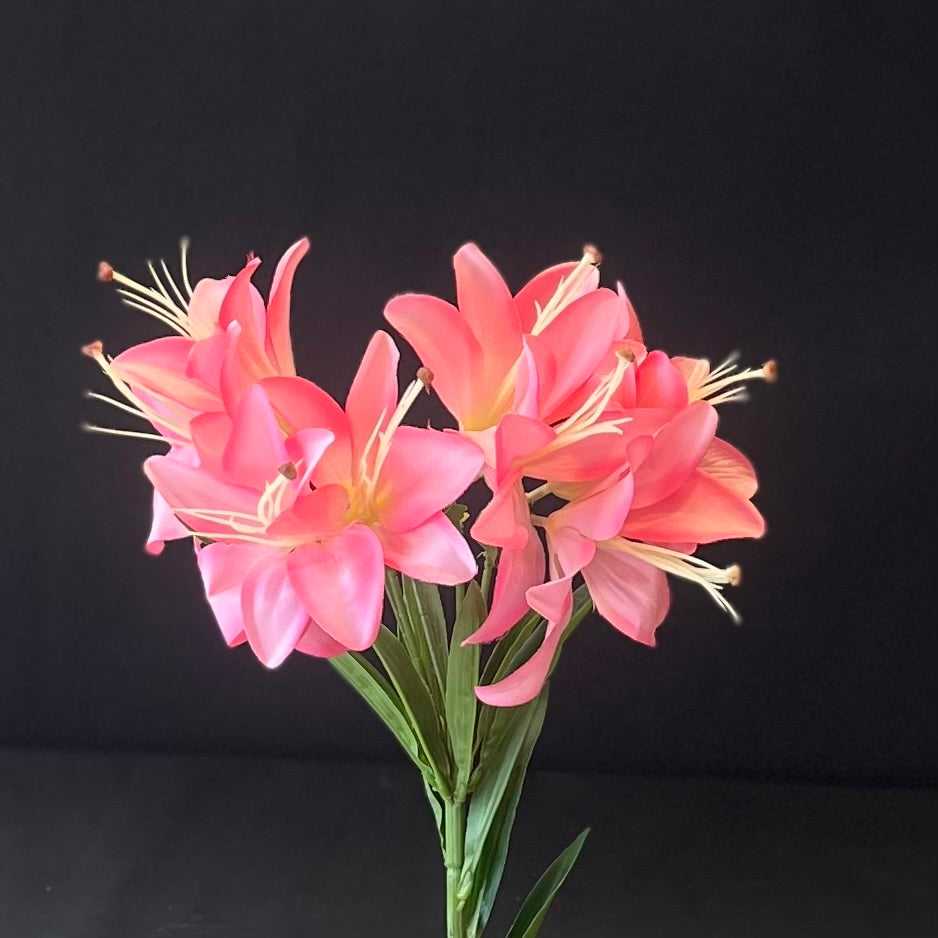  INARA HOME DECOR