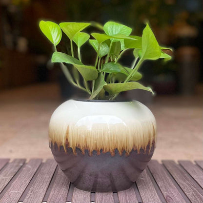  INARA HOME DECOR