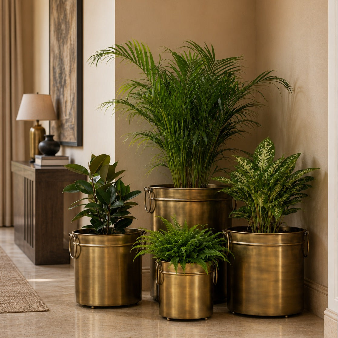 Planters & Garden collection